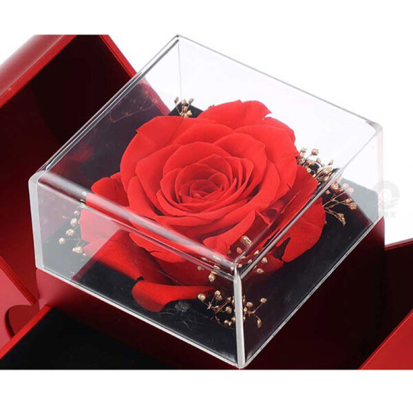 Fashion Jewelry Box Red Apple Christmas Gift Necklace Eternal Rose For Girl Mother's Day Valentine's Day Gifts With Artificial Flower Rose Flower Jewelry Box - Image 4